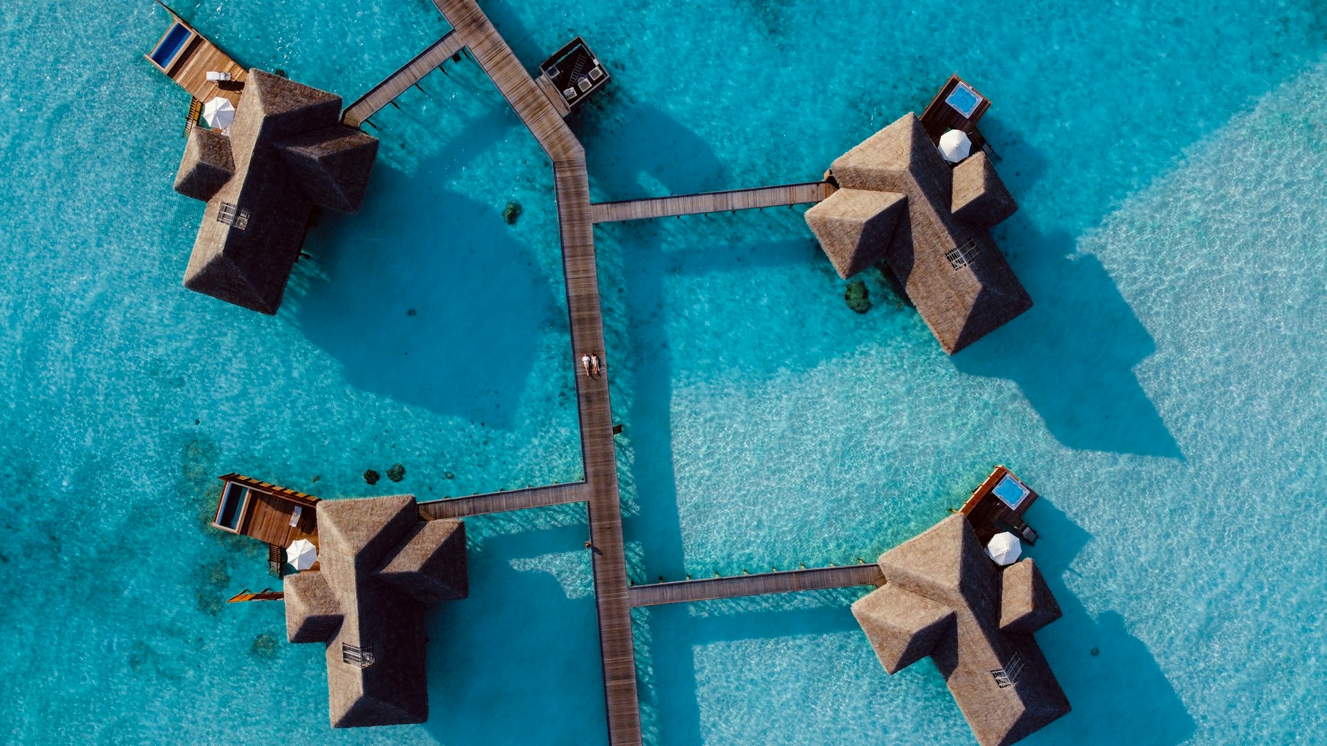aerial view of swimming pool